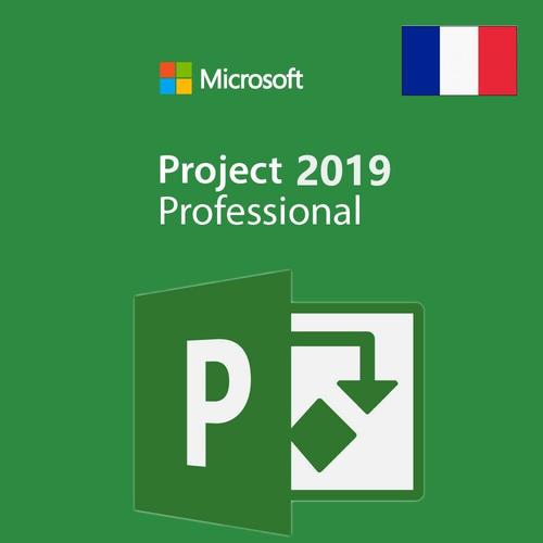 Ms Project Professionnel 2019 Téléchargeable Livraison Express