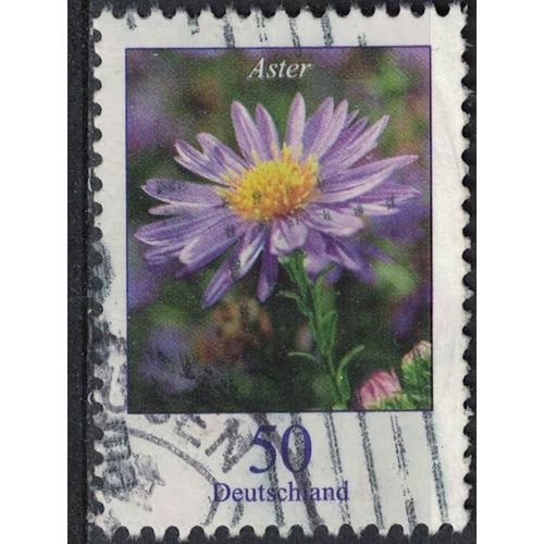 Allemagne 2005 Oblitéré Used Fleur Plante Vivace Aster Symphyotrichum Novae Angliae Su