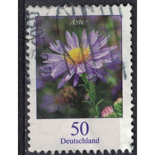 Allemagne 2005 Oblitéré Used Fleur Plante Vivace Aster Symphyotrichum Novae Angliae Su