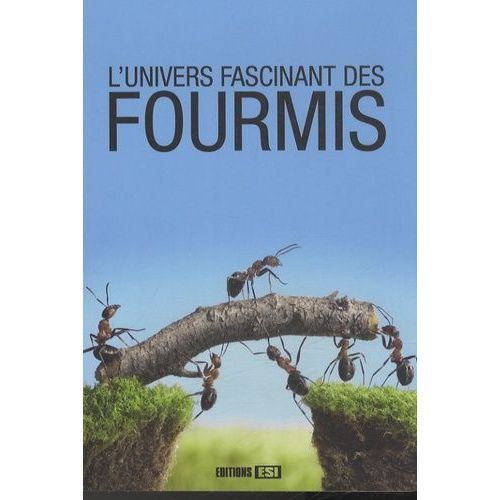 L'univers Fascinant Des Fourmis