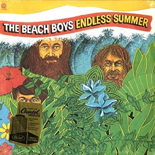 Endless Summer Lp