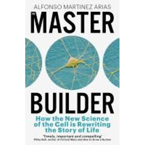 The Master Builder
