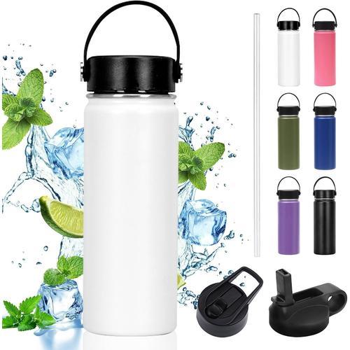 Fig. Réactionnaire Gourde Isotherme 500ml, Gourde Inox Avec En Paille, Bouteille D'eau Sans Bpa, Bouteille Isotherme En Acier Inoxydable, Réutilisable, Anti-Fuite, Enfant, Adultes, Sport, Bureau