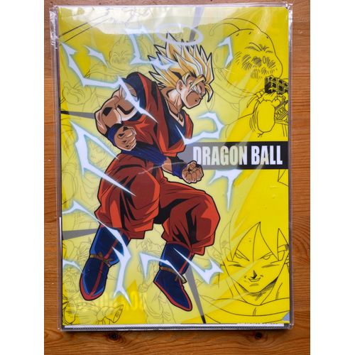Dragon Ball Z - 2 Protege Documents