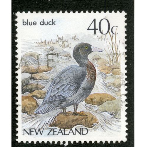 Timbre Oblitéré New Zealand, Blue Duck, 40 C
