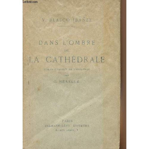 Dans L Ombre De La Cathédrale - Collection Bleue
