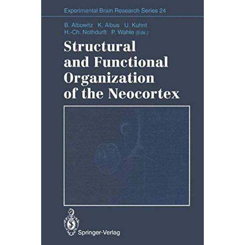 Structural And Functional Organization Of The Neocortex