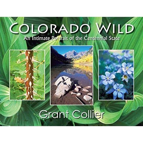 Colorado Wild: An Intimate Portrait Of The Centennial State