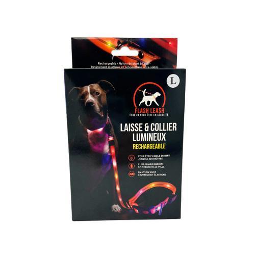 Laisse Et Collier Lumineux Pour Chien | Venteo | Led Rechargeable Usb | Longue Autonomie | Résistant À L'eau | 3 Modes D'éclairage | Réglable Pour Petits/Moyens/Gros Chiens | Orange