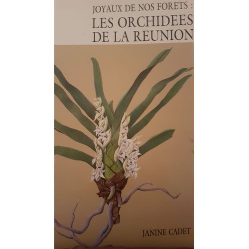 Joyaux De Nos Forets Les Orchidéees De La Reunion
