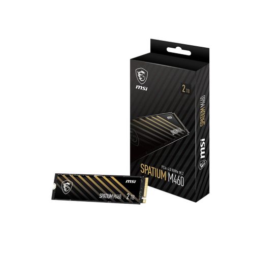 Disque SSD M.2 PCIe4 MSI SPATIUM M460, 1 TO (S78-440L930-P83)