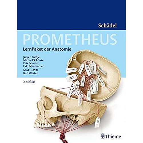 Prometheus Lernpaket Anatomie Schädel