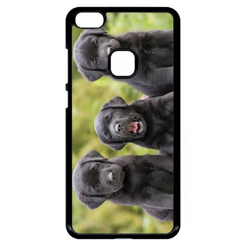 Coque Pour Huawei Ascend P10 Lite - Chiots Labrador Retriver Noir - Noir