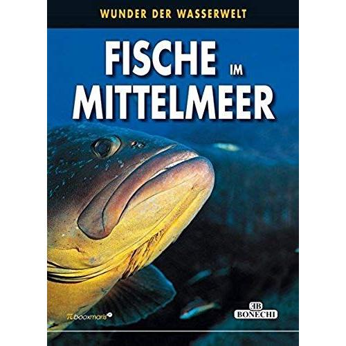 Fische Im Mittelmeer