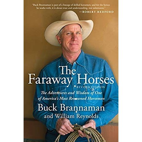 Faraway Horses