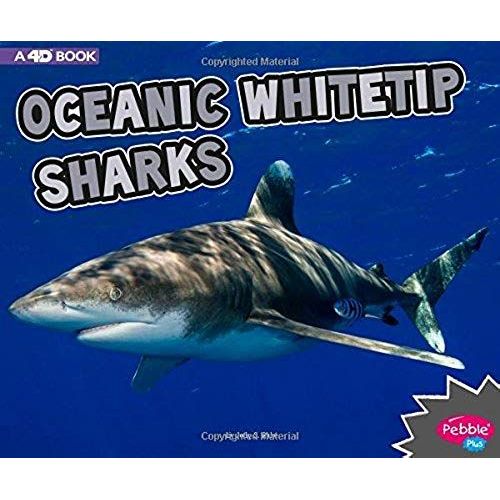 Oceanic Whitetip Sharks