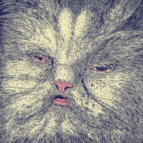 Corridor - Mimi [Compact Discs]