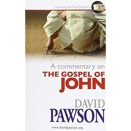 A Commentary On The Gospel Of John