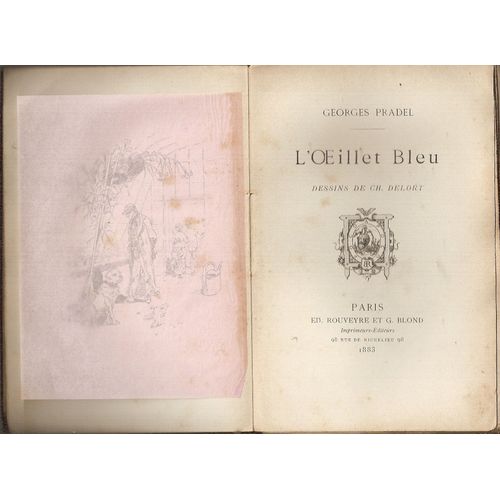 L'oeillet Bleu