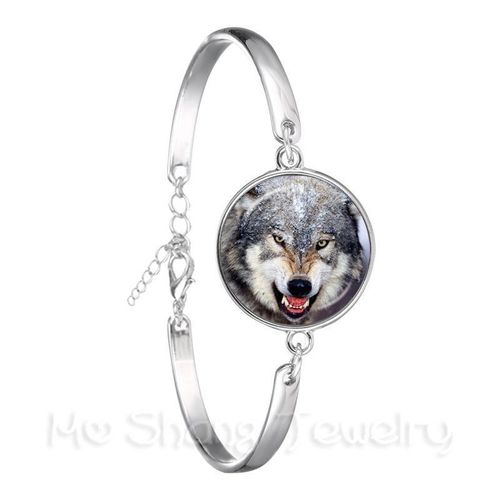 Beau Bracelet En Forme De Dauphin, Forme Ronde, Avec Dôme En Verre De 18mm, Plaqué Argent, Pour Cadeau