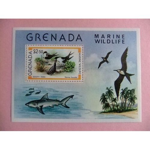 Grenada 1980 Fauna Birds Pajaros Oiseaux Yvert Block 82 ** Mnh