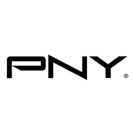 PNY Pro Elite - SSD - 250 Go - externe (portable) - USB 3.1 Gen 2 - argent brossé