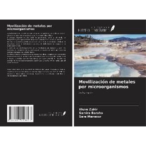 Movilización De Metales Por Microorganismos