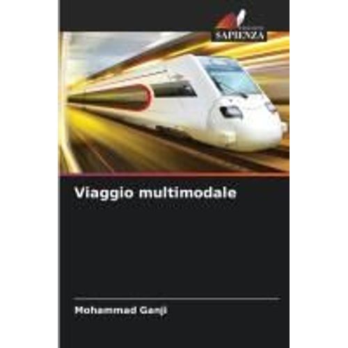 Viaggio Multimodale