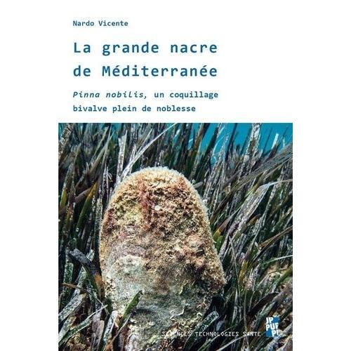 La Grande Nacre De Méditerranée - Pinna Nobilis, Un Coquillage Bivalve Plein De Noblesse