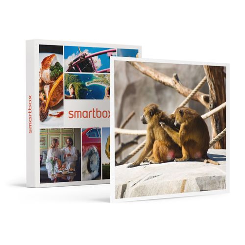 Activité En Famille : Entrée Pour 2 Adultes Et 1 Enfant Au Parc Zoologique De Paris - Smartbox - Coffret Cadeau Sport & Aventure