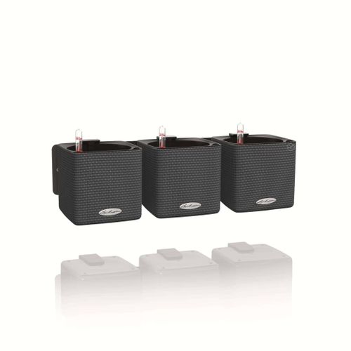 Lechuza 3 Pcs Jardini¿¿Res Green Wall Home Kit Ardoise