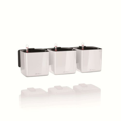 Lechuza 3 Pcs Jardinières Green Wall Home Kit Blanc Brillant