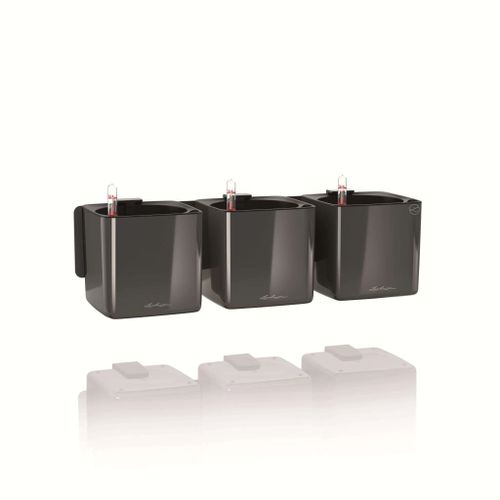 Lechuza 3 Pcs Jardinières Green Wall Home Kit Anthracite Brillant