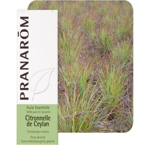 Citronnelle De Ceylan - Huile Essentielle Cymbopogon Nardus 10 Ml - Pranarôm 