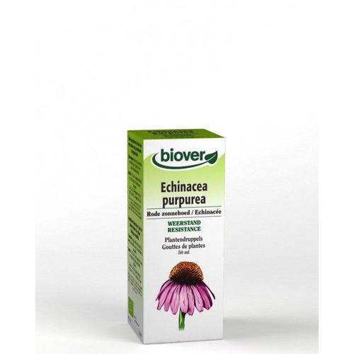 Echinacée Bio - Immunité Teinture-Mère Echinacea Purpurea 50 Ml - Biover 