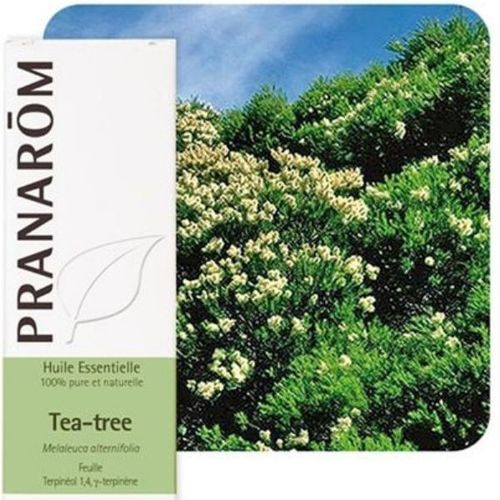 Tea Tree (Arbre À Thé) - Huile Essentielle De Melaleuca Alternifolia 10 Ml - Pranarôm 