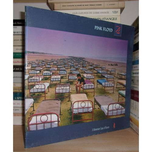 A Momentary Lapse Of Reason