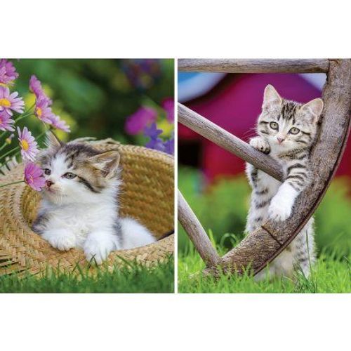 Set 2 Puzzles Adulte Chat Dans Le Pré - 500 Pieces - Set Puzzle Collection Chaton + 1 Carte Animal