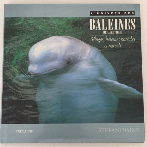 L¿Univers Des Baleines De L¿Artique