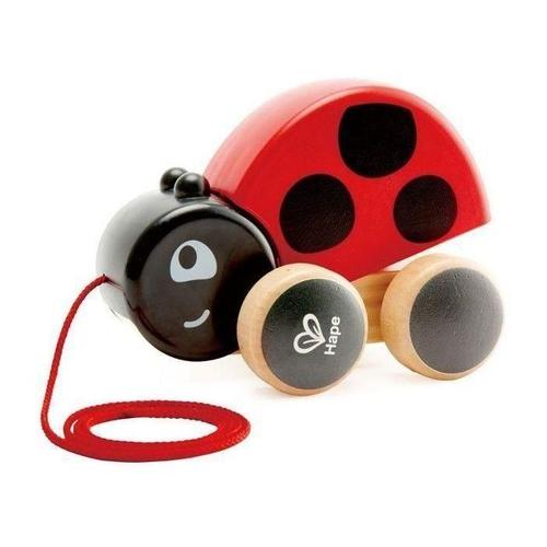 Hape Coccinelle A Tirer Hand Minute