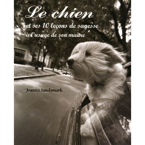 Le Chien Et Ses 10 Leçons De Sagesse À L'usage De Son Maître
