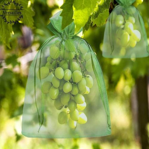 Nice-Mall Sacs de Protection élastiques, 200 pièces, sacs en Organza pour Fruits de raisin
