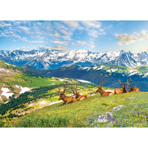 Les Élans À La Montagne - Puzzle 1000 Pièces