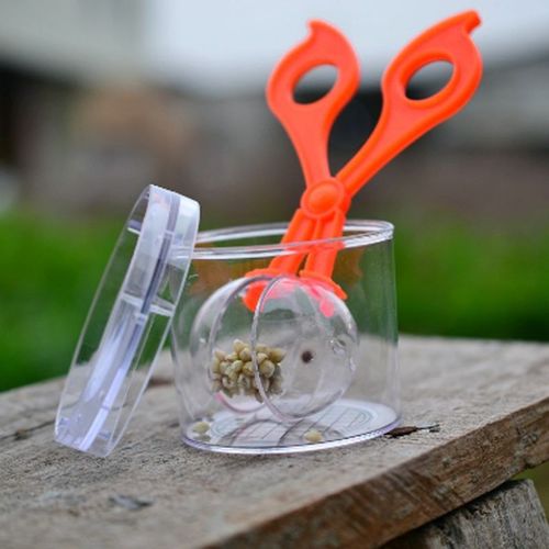 1 Ensemble Enfants Insecte Plante Science Exploration Jouets Éducatifs Pour Enfants Garçons Science Expériences Anti-Stress Jeux D'apprentissage
