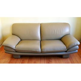 Canapé Cuir Roche Bobois