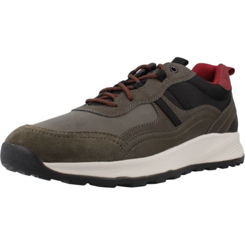 Geox U Terrestre Colour Vert