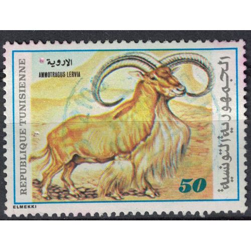 Tunisie 1980 Oblitéré Used Animal Ammotragus Lervia Mouflon À Manchettes Su