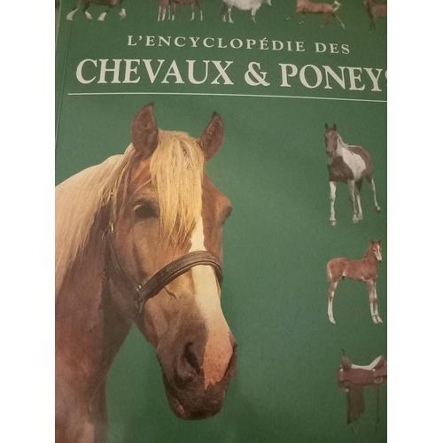 Encyclopédie Des Chevaux