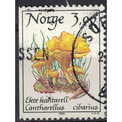Norvège 1989 Oblitéré Used Mushrooms Champignons Cantharellus Cibarius Girolle Su