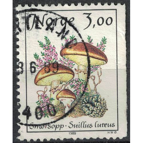 Norvège 1989 Oblitéré Used Mushrooms Champignons Suillus Luteus Bolet Jaune Su